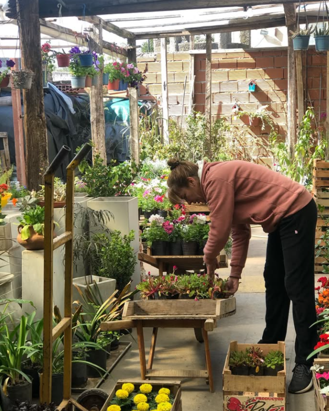Vivero La Emilia